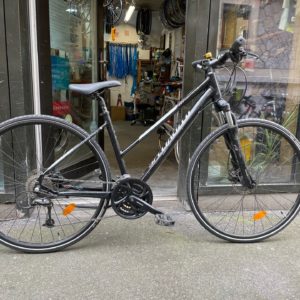 Specialized Ariel