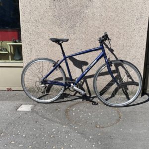 Specialized Globe
