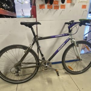giant cadexi 3