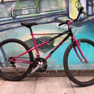 Bianchi pholcus