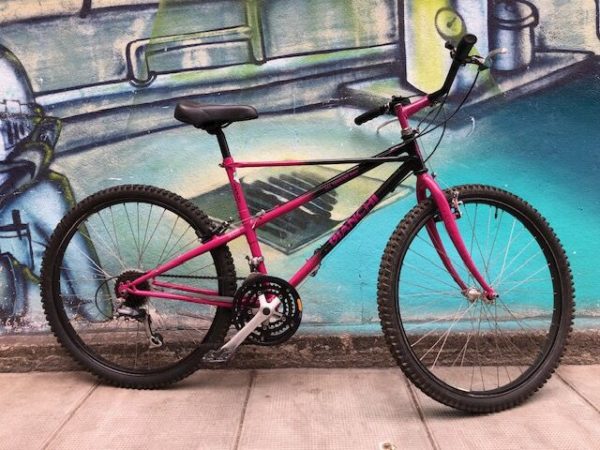 Bianchi pholcus