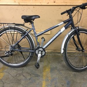 Crosswave Cruiser