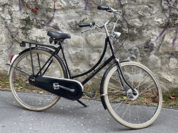 Gazelle populair made in NL