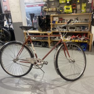 COSMOS mono vintage