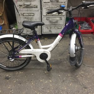 2442_image.jpg Raleigh -