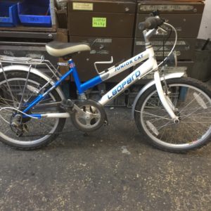 2443_image.jpg Léopard Junior Cat