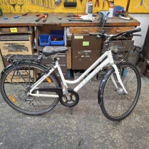 2462_20251027_164545.jpg stoke trh