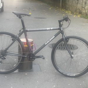 155_90D69512-D48F-46BA-B57C-197F1A7BF5BA.jpeg raleigh vl 4