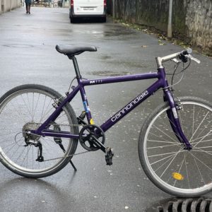 Cannondale M 800
