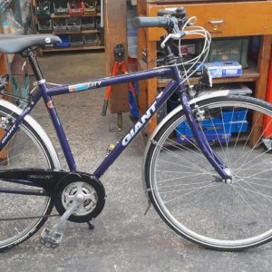 2480_20251031_151614.jpg Scott Action City