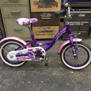 2600_image.jpg Léopard apollo