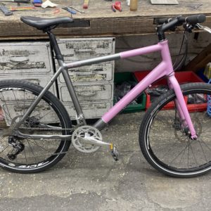 2620_image.jpg Ibex sans