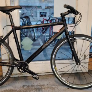 BMC Alpen Challenge 02