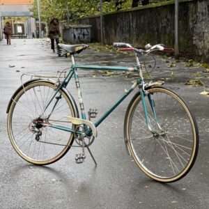 Cosmos ville vintage