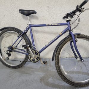 trekking fox blue bird