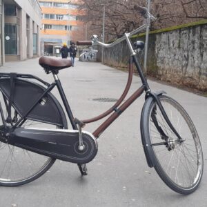 Batavus Old Dutch N7