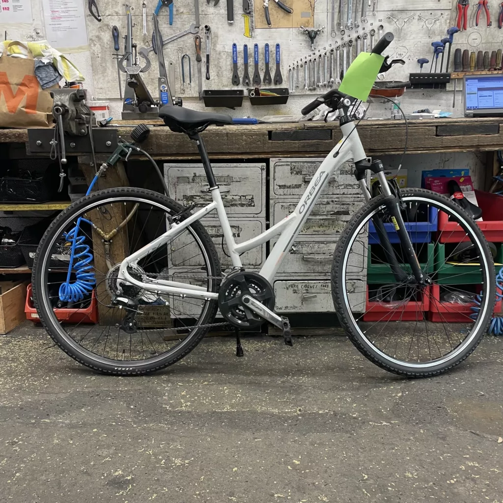 Orbea alluse
