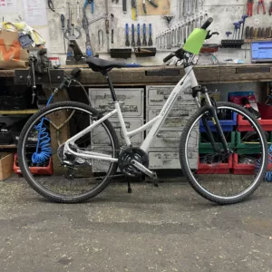 Orbea alluse