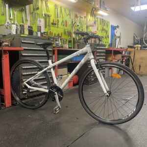 SCOTT SUB