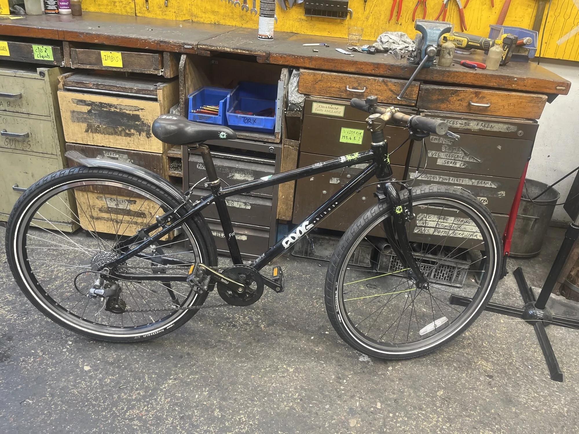 Frog bikes -