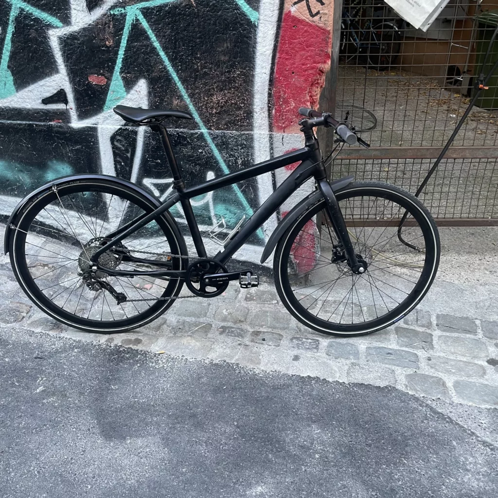Cannondale Fatty