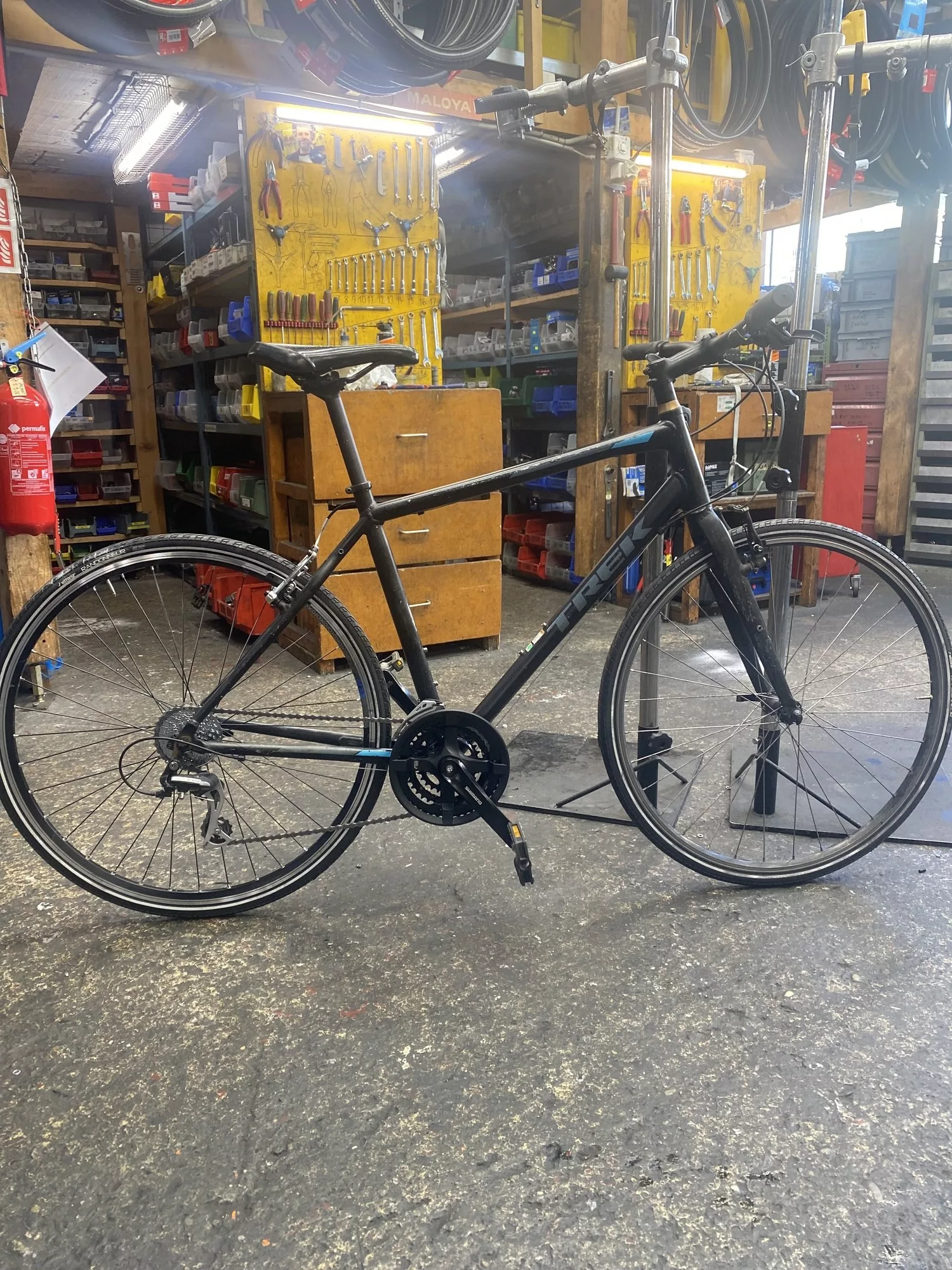 Trek FX2